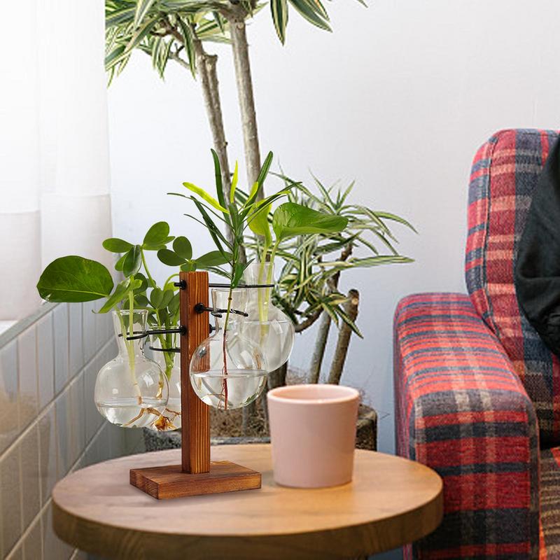 Terrario con supporto Terrario - Propagation Station Vase recensione e prezzo