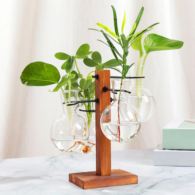 Terrario con supporto Terrario - Propagation Station Vase recensione e prezzo