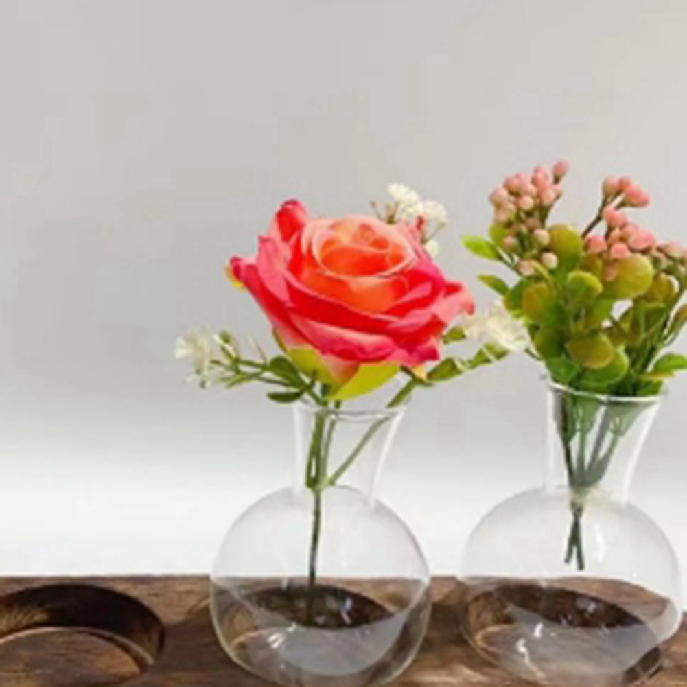 75STO-Vasi per piante idroponi - Propagation Station Vase recensione e prezzo