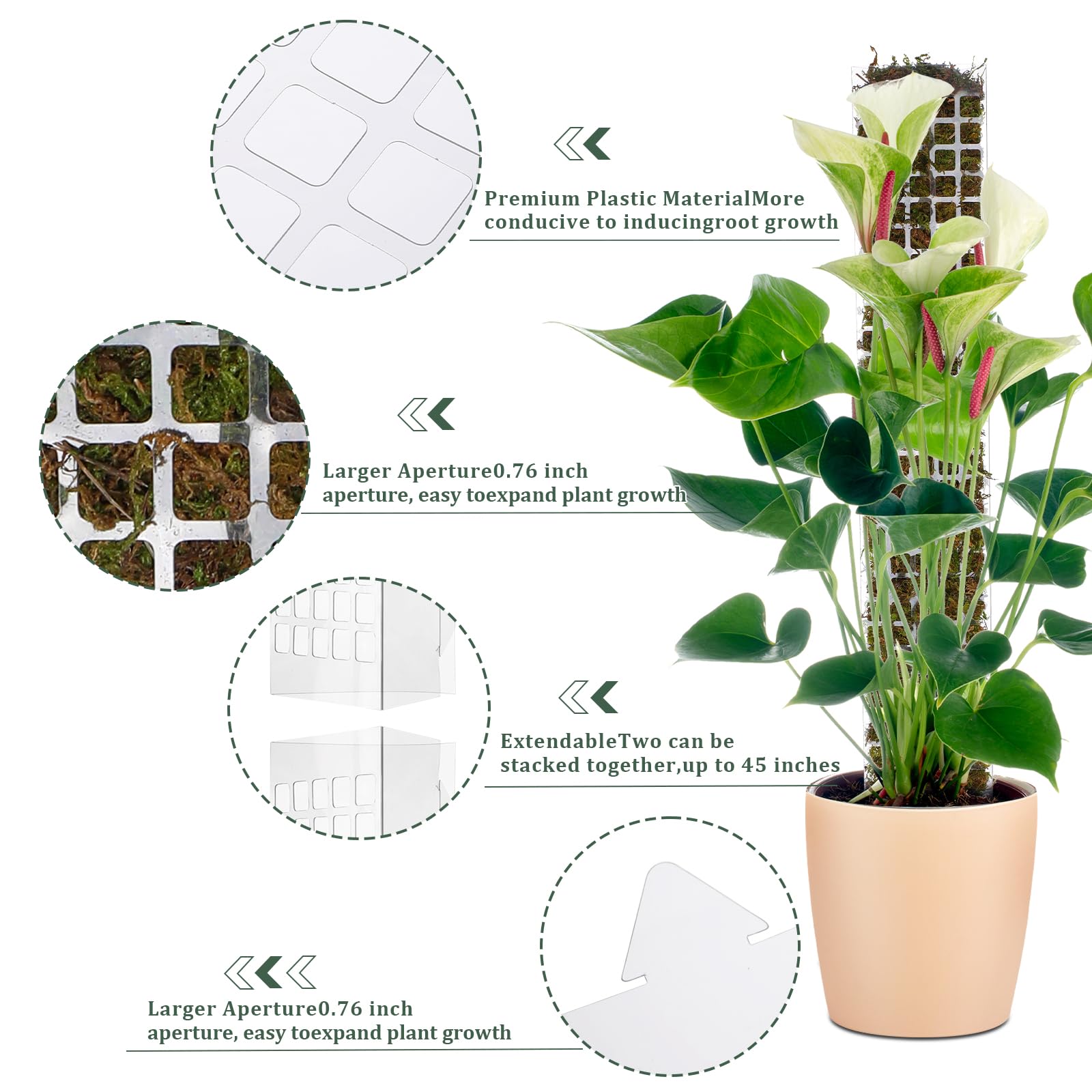 Palo in plastica impilabile pe - Sphagnum Moss Dry recensione e prezzo