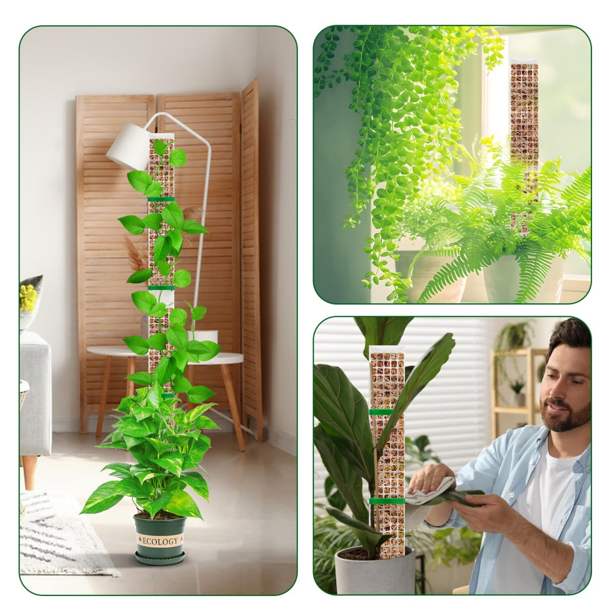 Palo in plastica impilabile pe - Sphagnum Moss Dry recensione e prezzo