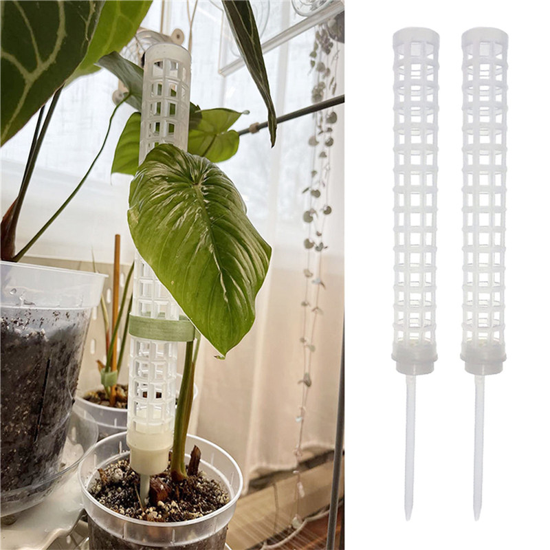 Pali di muschio in plastica, t - Sphagnum Moss Dry recensione e prezzo