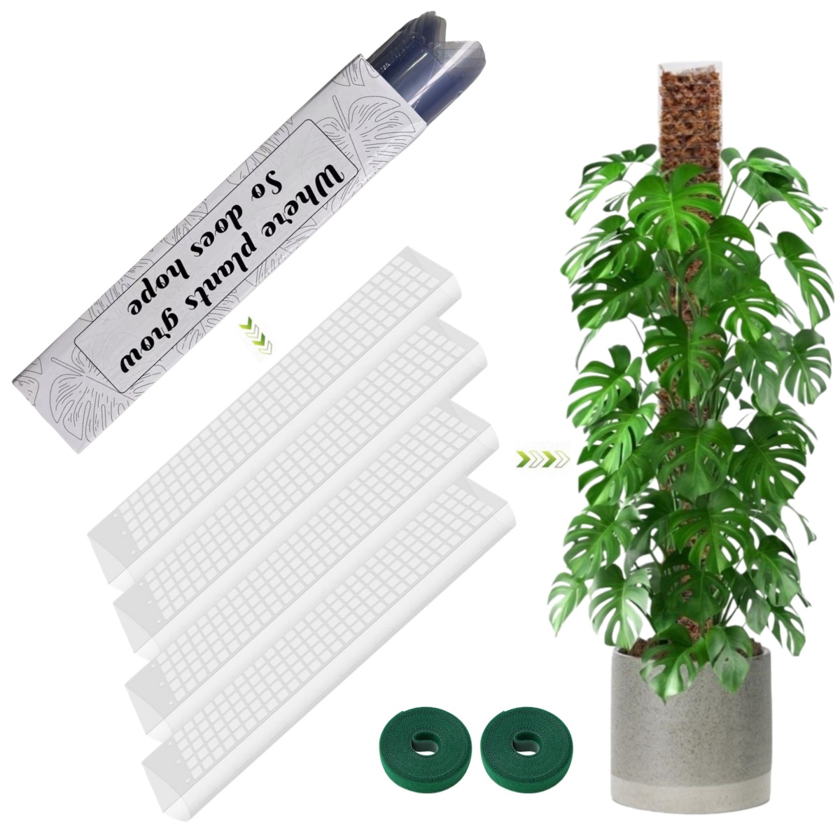 Supporto per piante rampicanti - Sphagnum Moss Dry recensione e prezzo