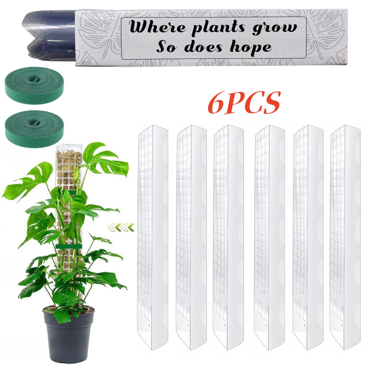 Supporto per piante rampicanti - Sphagnum Moss Dry recensione e prezzo