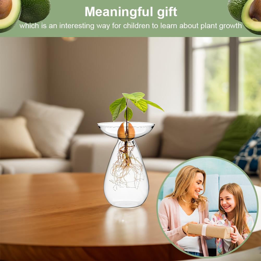 Vaso di avocado per semi di av - Propagation Station Vase recensione e prezzo